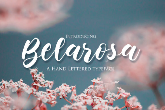 Belarosa: A Chic Script Font for Professional Branding