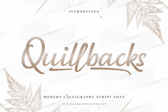 Enhance Your Brand with Quillbacks: A Stylish Script Font
