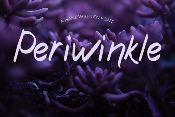 Periwinkle: A Handwritten Font for Creative Web Design