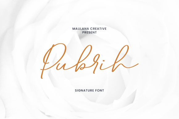 Pubrih: A Stylish Script Font for Editorial Elegance